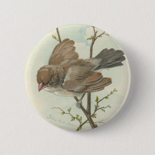 Vintage Sparrow 2 Inch Round Button (Front)