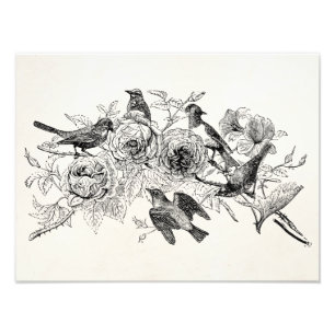 Vintage Sparrow Birds Personalized Sparrows Bird Photo Print