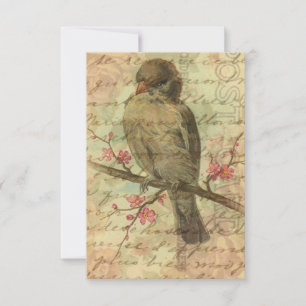 Vintage Sparrow Save The Date