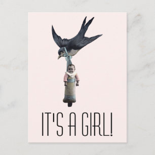 Vintage Sparrow with Baby Announcement Postcard