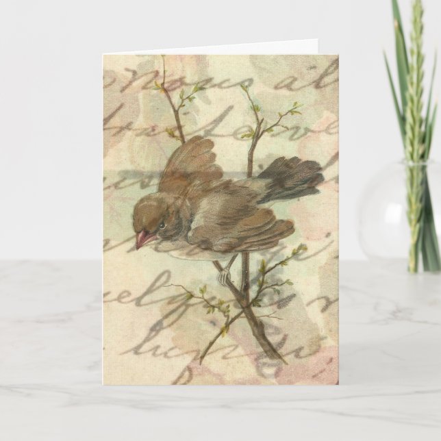 Vintage Sparrow with Handwritten Background Card (Front)