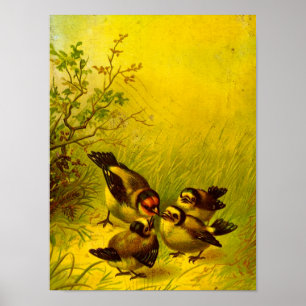Vintage Sparrows Canvas Print