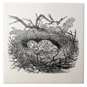 Vintage Speckled Eggs Bird Nest Personalized Birds Tile