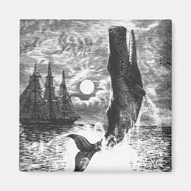 Vintage Sperm Whale Breaching, Marine Life Animals Magnet (Front)