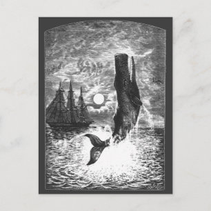 Vintage Sperm Whale Breaching, Marine Life Animals Postcard