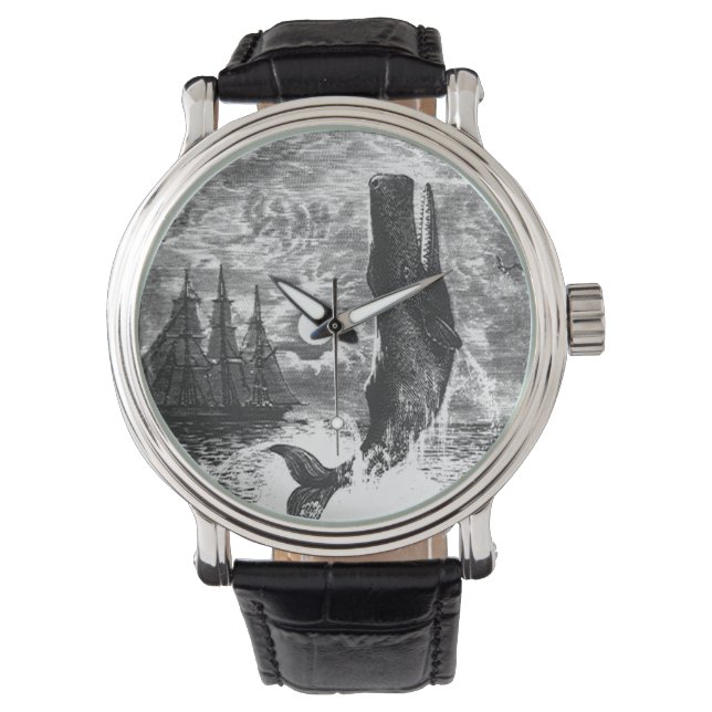 Vintage Sperm Whale Breaching, Marine Life Animals Watch (Front)