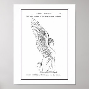 Vintage Sphinx illustration Poster