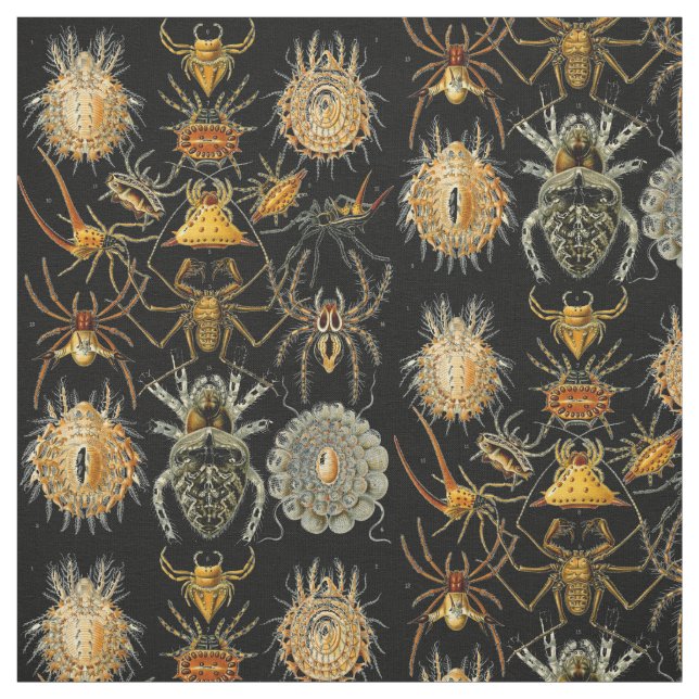 Vintage Spiders pattern Fabric (Swatch)