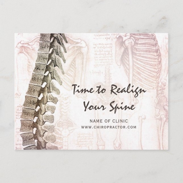 Vintage Spine Chiropractor Appointment Reminder Postcard (Front)
