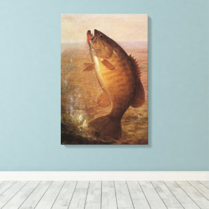 Vintage Sports Fishing, Largemouth Brown Bass Fish Canvas Print