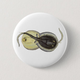 Vintage Spotted Stingrays, Marine Ocean Animals 2 Inch Round Button
