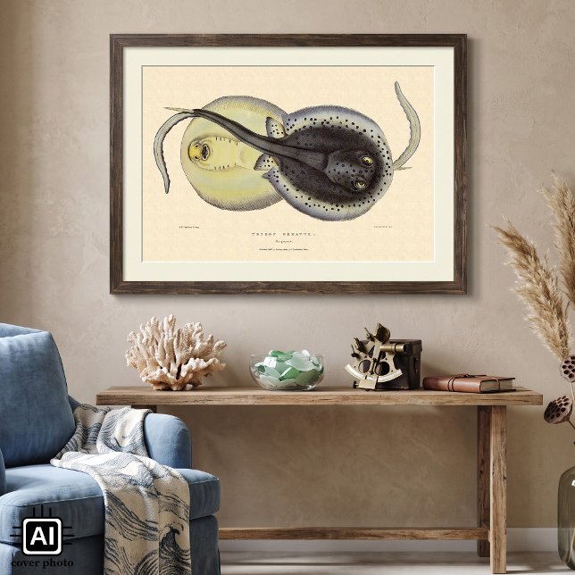 Vintage Spotted Stingrays, Marine Ocean Animals Poster (Vintage illustration marine life textbook science design featuring blue-spotted ribbontail stingrays)