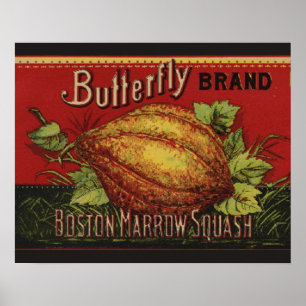 Vintage Squash Label Antique Vegetable Advertising Poster