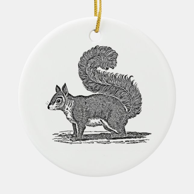 Vintage Squirrel Illustration - 1800's Squirrels Ceramic Ornament (Front)