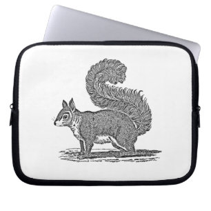 Vintage Squirrel Illustration - 1800's Squirrels Laptop Sleeve