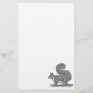 Vintage Squirrel Illustration - 1800's Squirrels Stationery