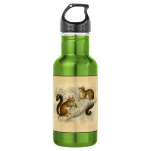 Vintage Squirrel Print 532 Ml Water Bottle