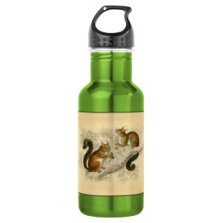 Vintage Squirrel Print 532 Ml Water Bottle