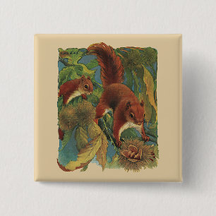 Vintage Squirrels, Forest Creatures, Wild Animals 2 Inch Square Button