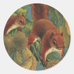 Vintage Squirrels, Forest Creatures, Wild Animals Classic Round Sticker
