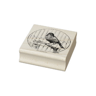 Vintage St.Andreasberg Canary Stamp