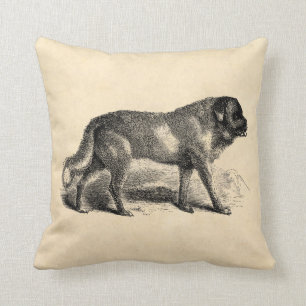 Vintage St. Bernard Dog 1800s Saint Bernards Dogs Throw Pillow