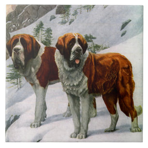 Vintage St. Bernards Tile