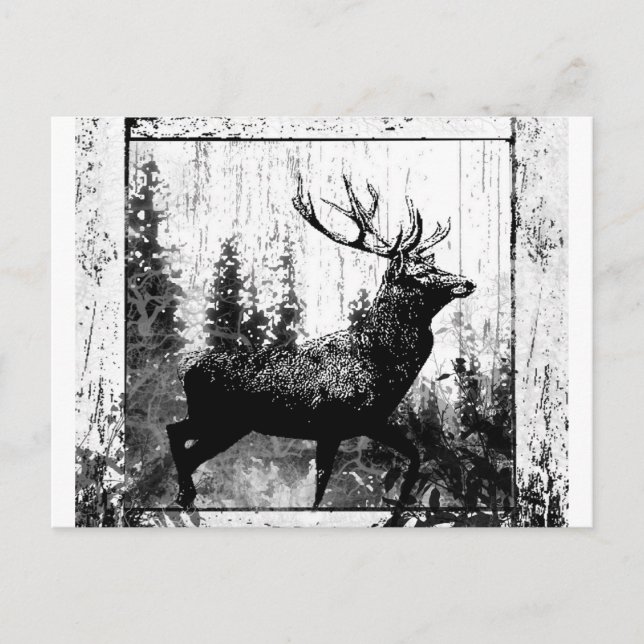 Vintage Stag Deer Black White Animal Postcard (Front)