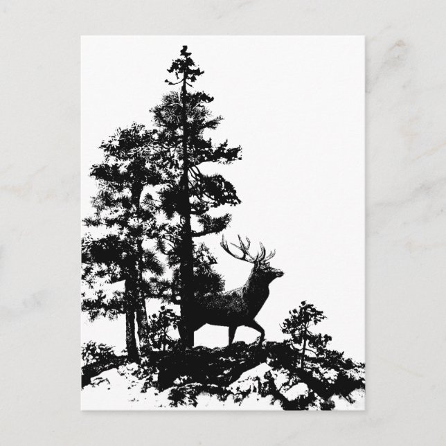 Vintage Stag Deer Black White Animal Postcard (Front)