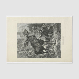 Vintage Stag Moose Ephemera Decoupage Tissue Paper