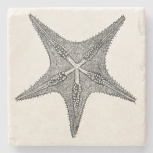 Vintage Starfish Antique Star Fish Template Stone Coaster