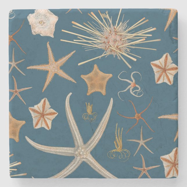 Vintage Starfish Stone Coaster (Front)
