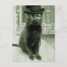 Vintage Steampunk LOL Funny Cat Postcard