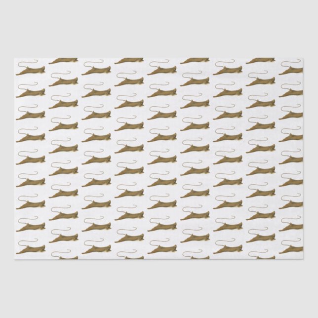 Vintage Stingray Drawing Tissue Paper (Front)