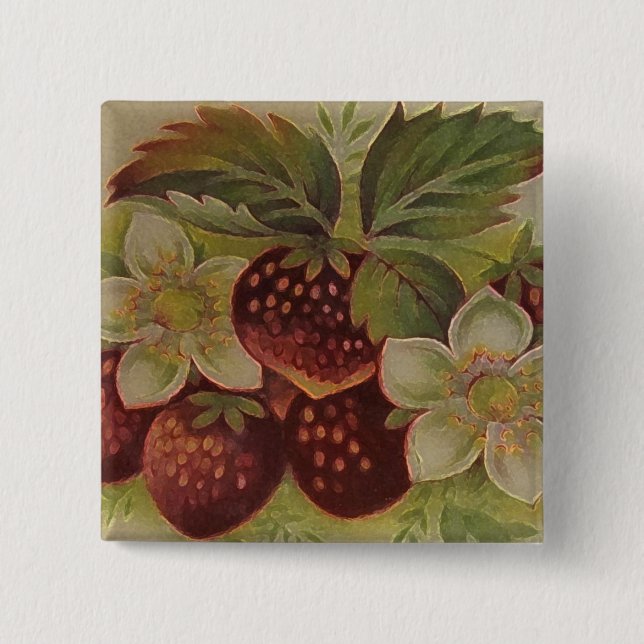 Vintage Strawberries 2 Inch Square Button (Front)