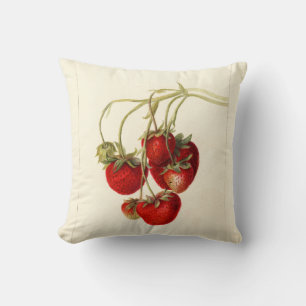 Vintage Strawberries Drawing Art Throw Pillow