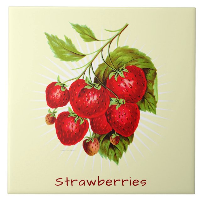 Vintage Strawberries Fruit Botanical Art Tile (Front)