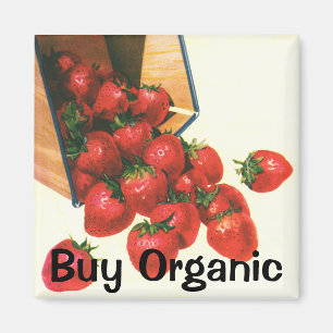 Vintage Strawberries in Basket, Food Fruit Berries Magnet