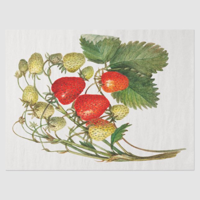 Vintage Strawberry Branch Decoupage Tissue Paper (Front)