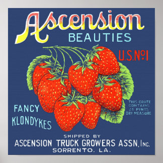 Vintage Strawberry Crate Label New Orleans C 1920 Poster