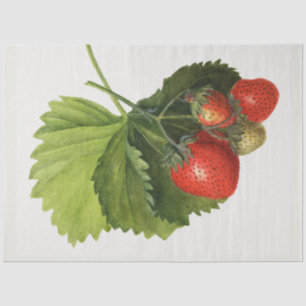 Vintage Strawberry Decoupage Tissue Paper