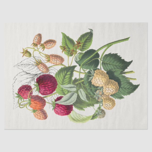 Vintage Strawberry Decoupage Tissue Paper (Front)