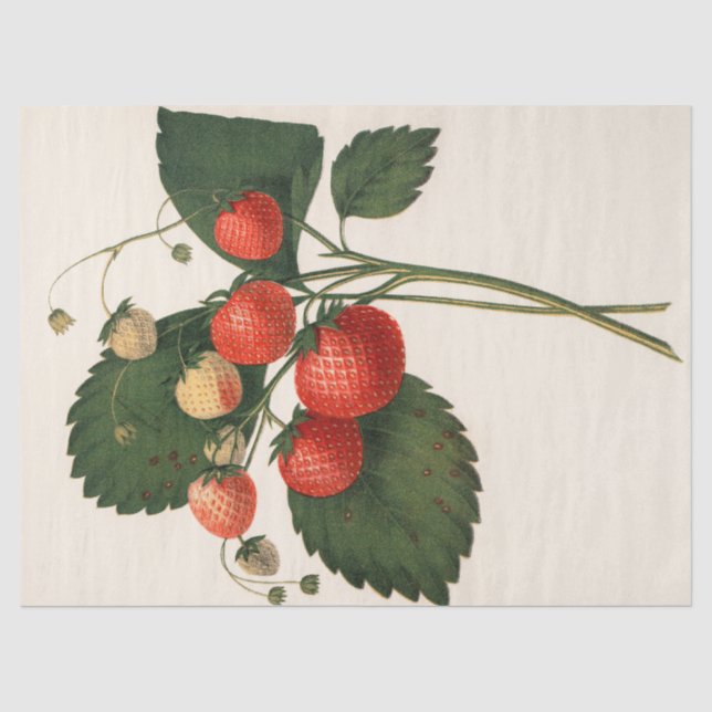 Vintage Strawberry Decoupage Tissue Paper (Front)