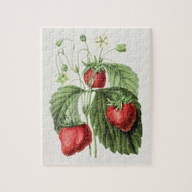 Vintage Strawberry Illustration  Jigsaw Puzzle (Vertical)