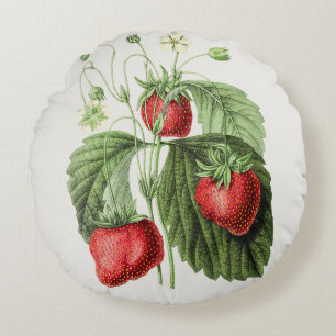 Vintage Strawberry Illustration Round Pillow