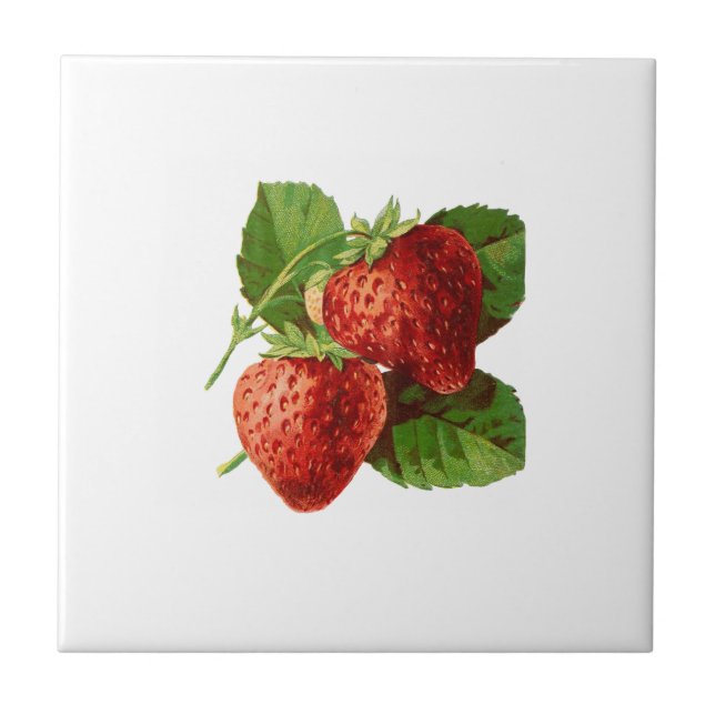 Vintage Strawberry Illustration Tile (Front)