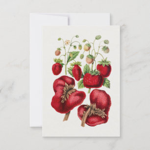 Vintage Strawberry Invitation