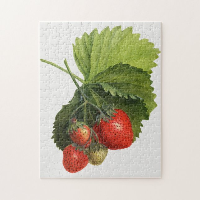 Vintage Strawberry Jigsaw Puzzle (Vertical)