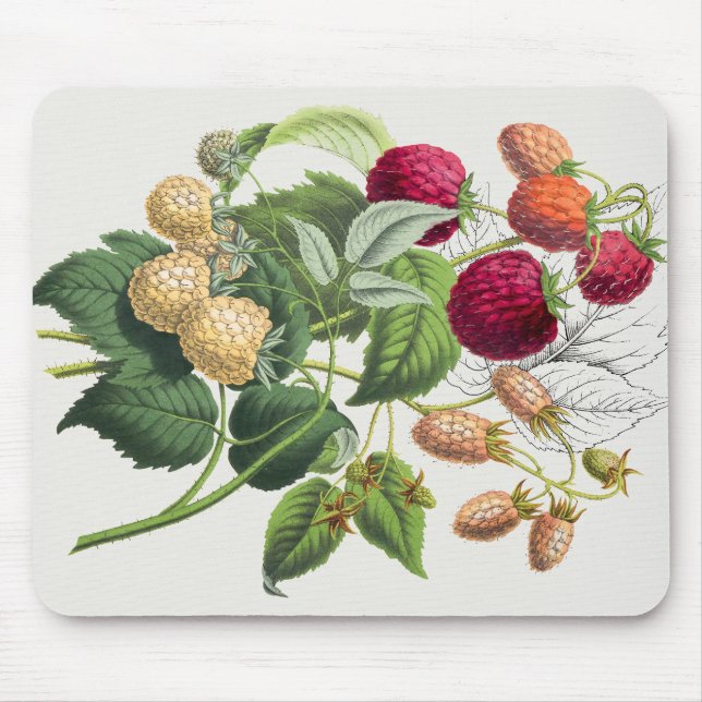 Vintage strawberry mouse pad (Front)
