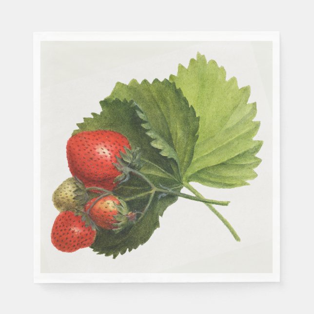Vintage Strawberry Napkin (Front)